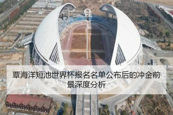 覃海洋短池世界杯报名名单公布后的冲金前景深度分析（WukongSports）