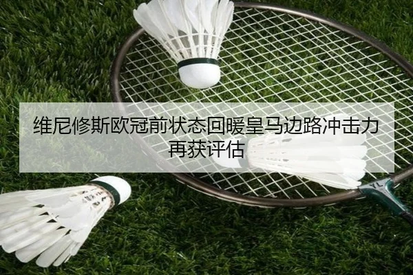 维尼修斯欧冠前状态回暖皇马边路冲击力再获评估 | WukongSports